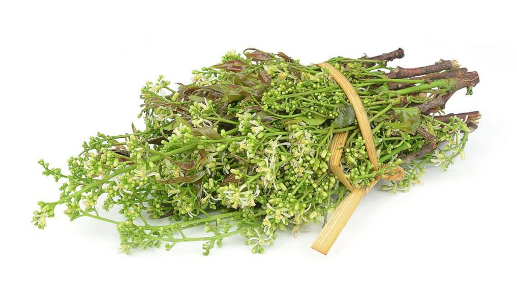 Herbas medicinais para desfacerse da onicomicose